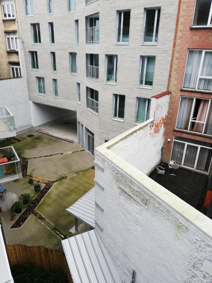 Tagusnunus Bruxelles